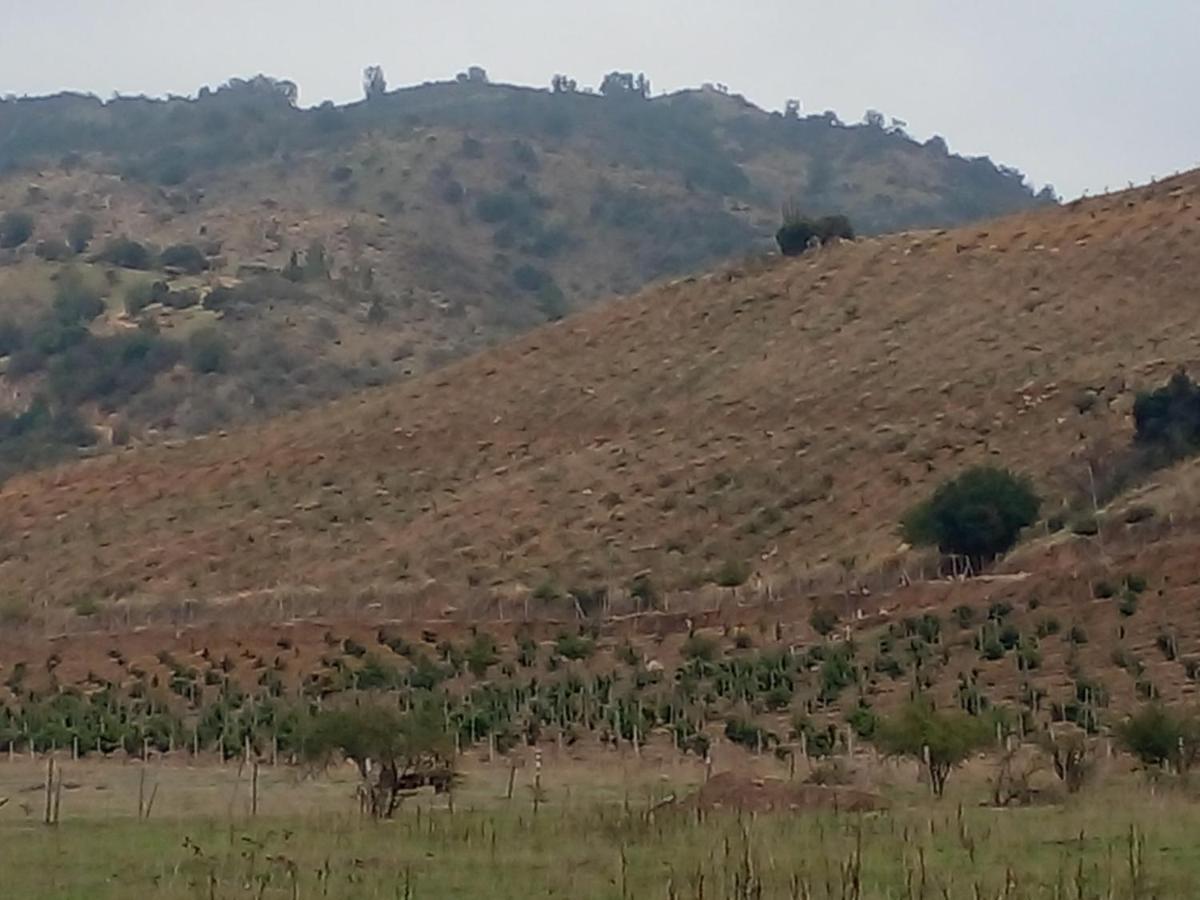 El Refugio De Santa Cruz Villa Dış mekan fotoğraf